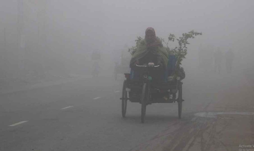 পৌষের মাঝামাঝিতে এসে ‘আসল রূপে’ আবির্ভূত হয়েছে শীতকাল